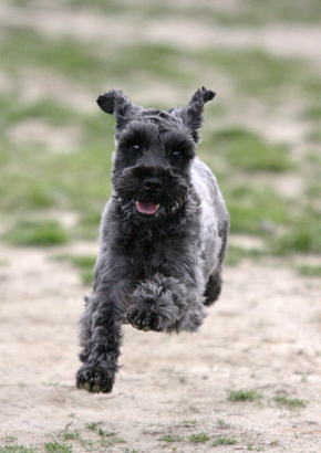 院長 赤木 洋祐