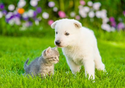 ゆりかごから墓場まで